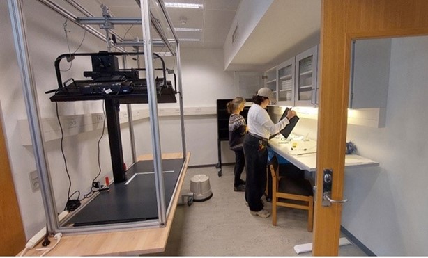 Many happy people at a long table, cheering